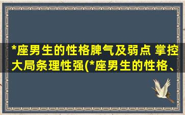 *座男生的性格脾气及弱点 掌控大局条理性强(*座男生的性格、脾气及弱点揭秘，条理性强的掌控大局能力)